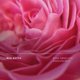 thumbnail image 5 of Perfume Future Society Haunted Rose Eau de Parfum, 50 ml, unisex, 5 of 8