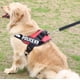 thumbnail image 2 of Arnes Pechera K9 Alcochado Reforzado Perros Pequeños Talla M, 2 of 2
