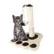 thumbnail image 3 of Rascador De Patita Beige Para Gatos Con Juguete Colgante, 3 of 3
