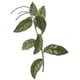 thumbnail image 3 of Té de hierbas RastaMan Stew Guinea Hen Weed 113 g, 3 of 9