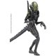 thumbnail image 1 of Figura de acción Hiya Toys Alien contra Predator Grid Alien 1:18, 1 of 1