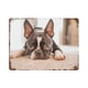thumbnail image 1 of Boston Terrier Cartel Metálico, Decoración de Pared de Cartel Metálico Personalizado para Regalos de Fans, Amigos, Familia y Amantes 20*30CM, 1 of 6