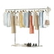 thumbnail image 1 of Tendedero De Ropa Simple Perchero Colgador Plegable Movil, 1 of 2