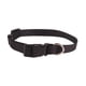 thumbnail image 1 of Collar Mascotas Nylon Color Solido Gato Perro 20/30cm, 1 of 2