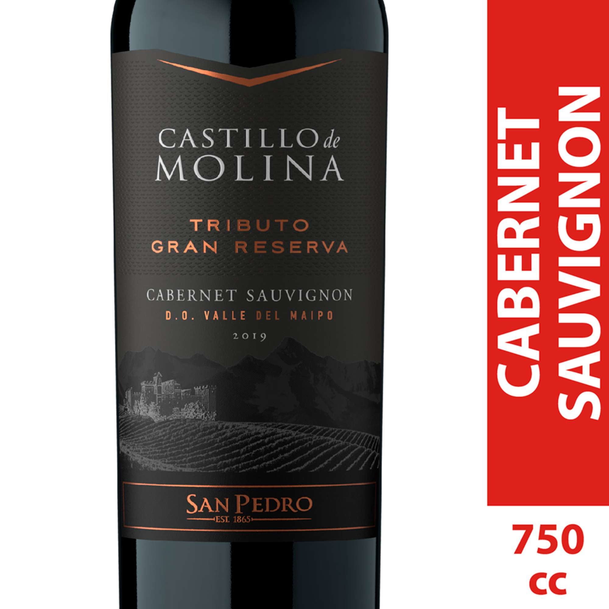 Castillo De Molina - Vino Tinto Cabernet Sauvignon 14° Botella