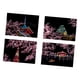thumbnail image 4 of 4 Tarjetas De Papel Para Rascar, Adornos, Tarjetas De Papel Para Grafiti, Dibujo, Arte, Artesanía, Estilo C, 4 of 5