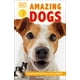 thumbnail image 1 of DK Readers Nivel 2: Perros Asombrosos: ¡Historias de Perros Valientes!, 1 of 1