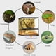 thumbnail image 5 of Almohadilla térmica Aiicioo Reptile Ermit Crab para terrario, 16 W, 5 of 6