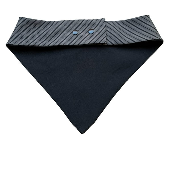 Traje Bandana Huaso Elegante para Perros y Gatos S