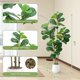thumbnail image 3 of Árbol artificial Conviviala 150 cm con maceta blanca y 4 troncos, 3 of 9