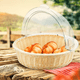 thumbnail image 2 of Panera Rattan Heavy Duty Redonda C/Cúpula 40 Cm, 2 of 2