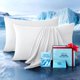 thumbnail image 1 of Juego de 2 fundas de almohada refrigerantes Rifens Home King blanco, 1 of 7