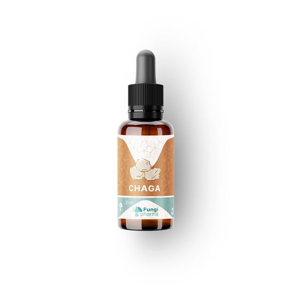 Concentrado Chaga