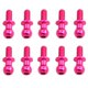 thumbnail image 1 of Tornillos De Cabeza Esférica Para Coche RC Sakura D5 Sport Car Hobby Model Reemplazo Rosa, 1 of 1