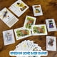 thumbnail image 5 of Juego de cartas Bezier Games Rebel Princess Deluxe Happily Never, 5 of 6