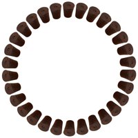 Ioensy - 30 Esponjas De Cultivo Para El Crecimiento General De Raíces, Para Esquejes De Vegetales Y Plántulas.