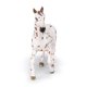 thumbnail image 4 of Figurita Papo Caballo Appaloosa Yegua - 51509 Multicolor, 4 of 7