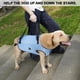 thumbnail image 2 of Arnés para levantamiento de perros Coodeo, soporte acolchado ajustable, azul, 2XL, 2 of 6