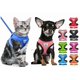 thumbnail image 3 of Arnés Transpirable Con Correa Raza Pequeña Para Perros Gatos Negro, 3 of 3