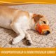 thumbnail image 5 of Bozal para Perros Uxcell, Bozal de Malla Suave Ajustable Anti Mordeduras, 5 of 7