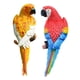 thumbnail image 1 of 2 Figuras De Loro Para Decorar El árbol De La Pared, De Resina, Para Césped, Jardín, Color Amarillo Y Rojo., 1 of 5