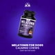 thumbnail image 4 of Tabletas De Melatonina 6 Mg Para Dormir Para Perros 120 Unidades, 4 of 8