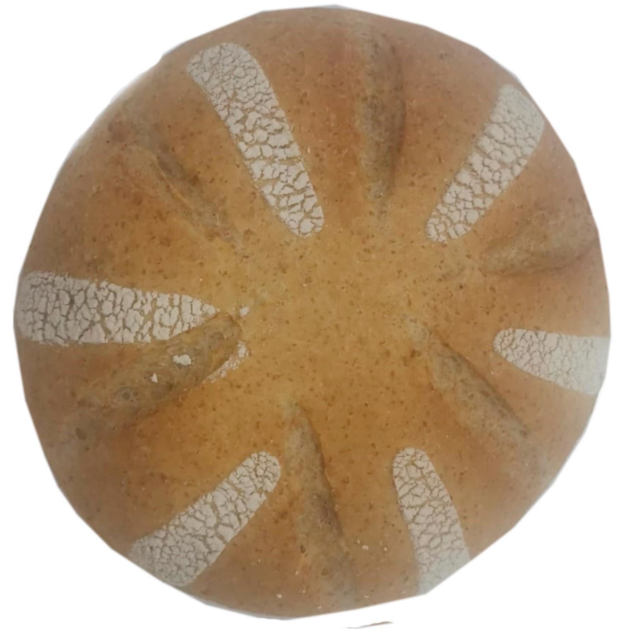 Pan De Campo Integral 1 Un Prosepan