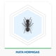 thumbnail image 4 of Insecticida Aerosol Mata Hormigas, Aerosol 390 cc, 4 of 4