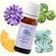 thumbnail image 3 of Plant Therapy Kids Organic Nighty Night Essential Oil Blend, 3 of 3