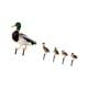 thumbnail image 5 of 5 Estacas De Pato Para Jardín, De Metal, Realistas, Para Decoración De Patio Y Granja., 5 of 5