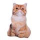 thumbnail image 2 of Almohada De Felpa De Simulación, Juguetes Divertidos Para Ni?os, Para Oficina, Habitación De Ni?os, Sofá, Garfield, 2 of 5