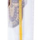 thumbnail image 3 of Vaso Frío Silver Buffalo Yellowstone Dutton Ranch 591 ml, 3 of 3