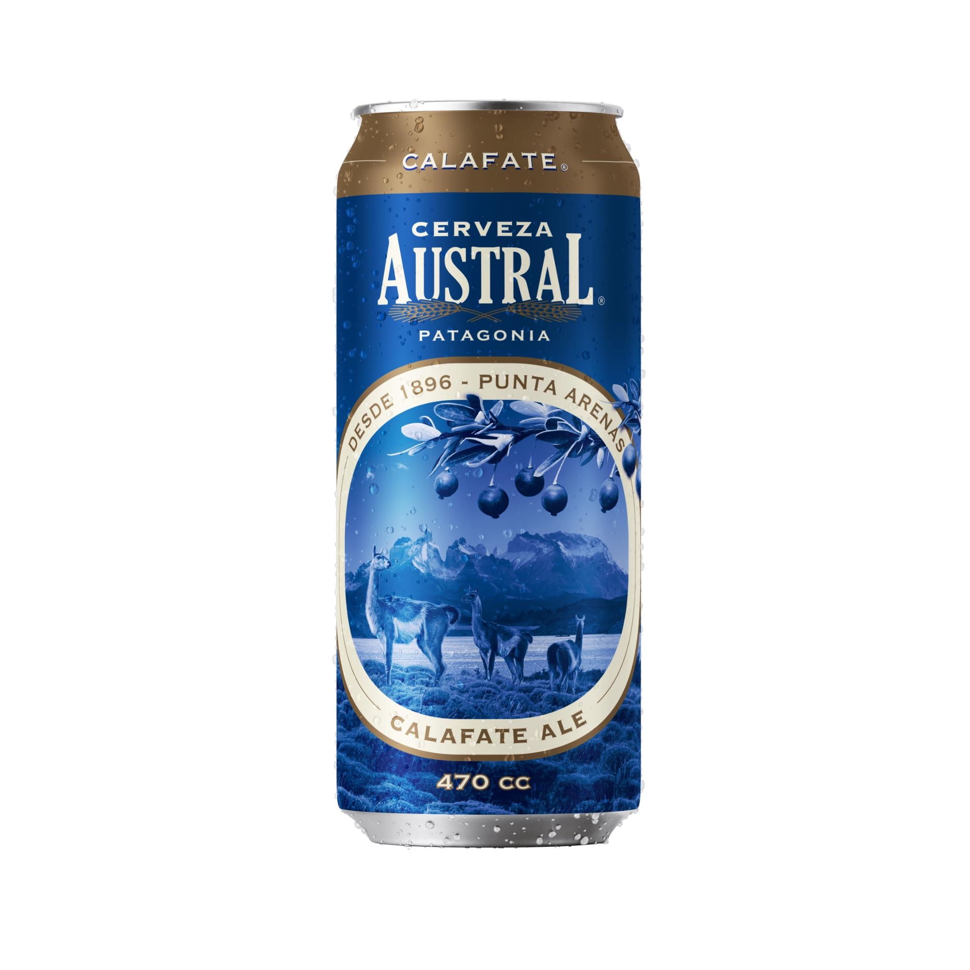 Cerveza Ale Calafate 4.8º Lata 470 ml Austral