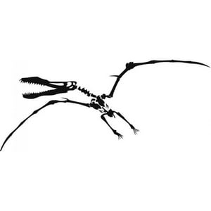 Rienda Libre Graphics - Decomural Pterodactyl Fossil Dinosaur Ws-17605