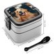 thumbnail image 2 of Fiambrera de Doble Capa Desmarcar Golden Retriever 1000ml, 2 of 6
