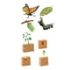 thumbnail image 2 of Conjuntos De Ciclo De Vida, Figuras De Juguete, Mariposas Y Plantas De Frijol, Ciencia Para Niños, 2 of 5