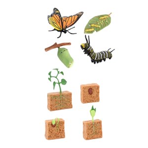 Magideal - Conjuntos De Ciclo De Vida, Figuras De Juguete Montessori, Mariposas Y Plantas, Juguete De Aprendizaje Realista, Juguete Científico Para Niños Y Niñas