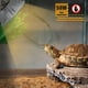 thumbnail image 4 of Lámpara de calor para tortugas de 50 W, E27, UVA/UVB, de espectro completo, para terrarios, reptiles, animales y tortugas., 4 of 5