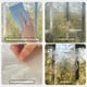 thumbnail image 4 of Pegatinas para ventanas Buttfly: calcomanía a prueba de colisiones que protege a las aves de colisiones, película prismática no adhesiva, pegatina arcoíris, 4 of 6