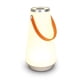 thumbnail image 1 of Portable USB Rechargeable Ambient Light For Bedroom, Living Room, Hanging LED Camping Lamp With Touch Switch, 1 of 4