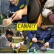 thumbnail image 2 of Cuchillo utilitario CANARY, hoja antiadherente de 7.5 pulgadas, funda, paquete de 10, 2 of 2
