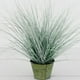thumbnail image 1 of Pasto Cebra Gris 48cm Artificial, 1 of 2