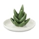 thumbnail image 5 of Bandeja De Soporte De Joyería De Aloe De Cerámica, Organizador De Pendientes, Decoración, Estilo De Regalo 2, 5 of 5