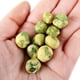 thumbnail image 3 of Bocadillos Frijoles Verdes Delgados Kasugain 48 Gr, 3 of 4