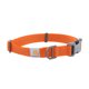 thumbnail image 1 of Collar para perro Carhartt L Naranja Cazador de nylon, 1 of 8