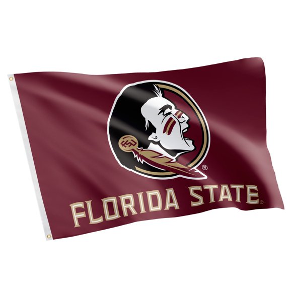 Bandera Desert Cactus 91 cm FSU Seminoles para exteriores