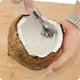 thumbnail image 4 of 1pc Coconut Shaver Stainless, Steel Fish Skin Scale Scraper Remover, Kitchen Peeler Cleaning Tool, 4 of 4