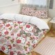 thumbnail image 2 of Hello Kitty Riding A Bicycle 3 Pieces Duvet Cover Set Full Size Super Soft Fade Resistant Microfiber, 2 of 4