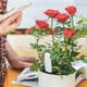 thumbnail image 3 of Detectar automáticamente la humedad / temperatura / luz / fertilidad, Puede conectarse al teléfono móvil a través de Bluetooth, Sensor de higrómetro para plantas de interior (1pc), 3 of 3
