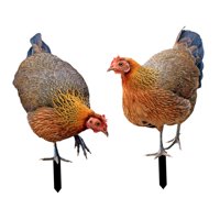 Ioensy - Estacas De Jardín De Gallina, Regalos, Estacas De Estatua De Animales Realistas Para Jardín, Patio, Porche, Estilo B